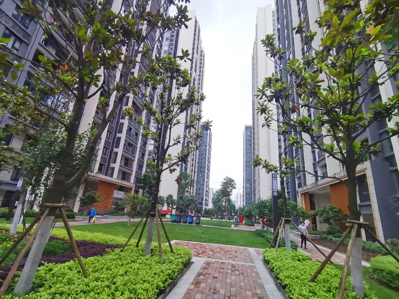 富力城新壹站,大学城中路38号-重庆富力城新壹站二手房,租房,房价