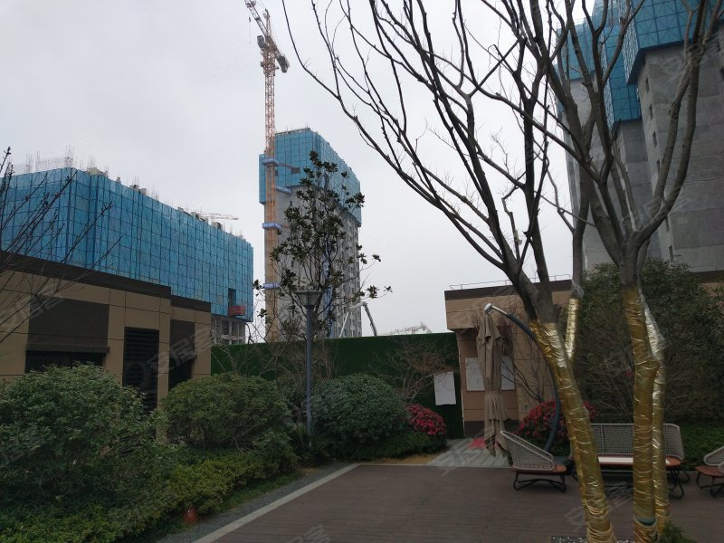 中骏柏景湾,北京南路-徐州中骏柏景湾二手房,租房
