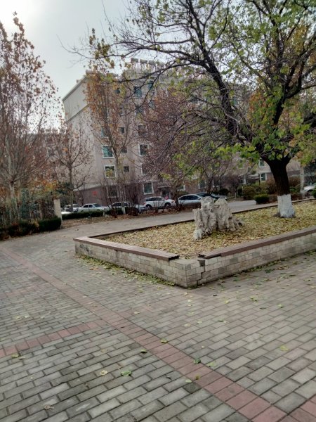 绿杉园