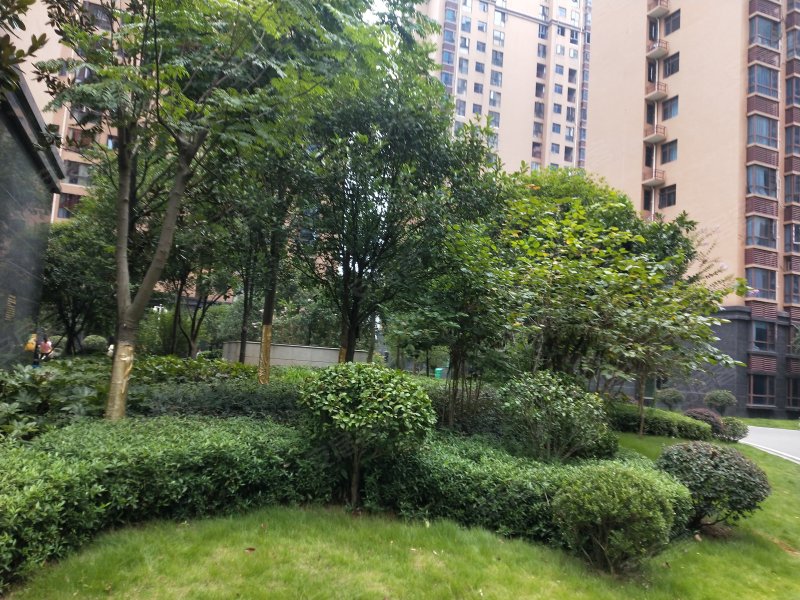 恒建紫金湾,洣江大道-衡阳恒建紫金湾二手房,租房