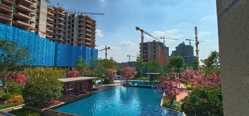 檀府印象檀逸,良坛路10号-南宁檀府印象檀逸二手房,租房,房价-南宁