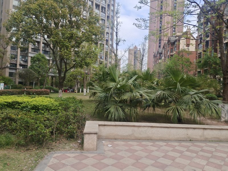 凯旋国际,外环路158号-资阳凯旋国际二手房,租房,房价