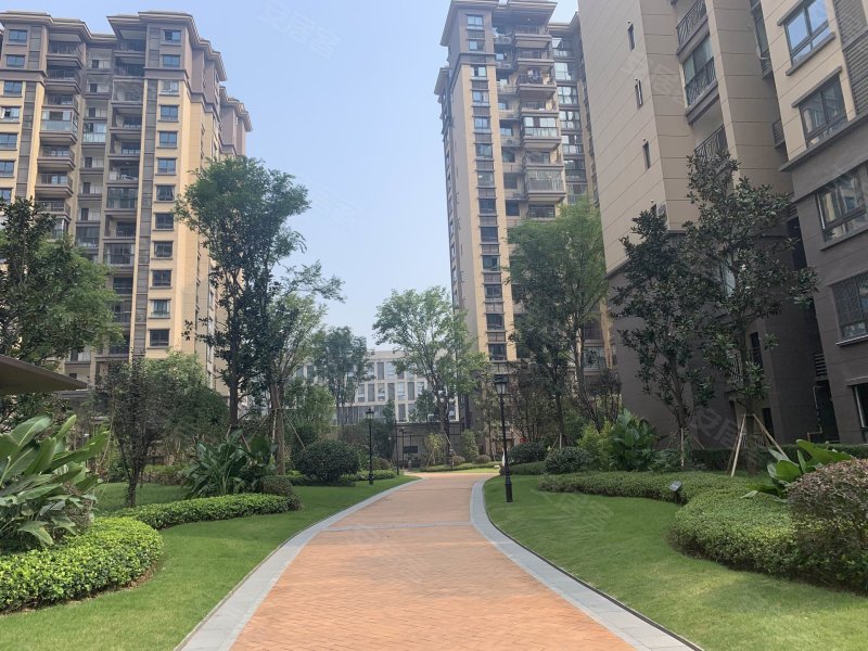 金科中央华府(东区)