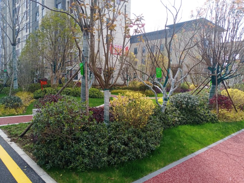 和信清河城,207国道-襄阳和信清河城二手房,租房,房价