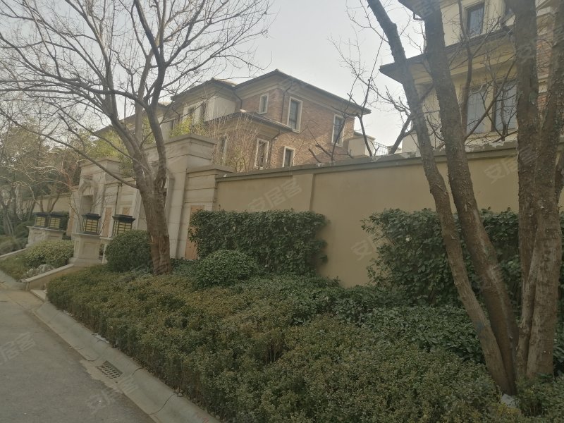 圣兰菲诺(别墅),算圣路,近书圣路-临沂圣兰菲诺(别墅)