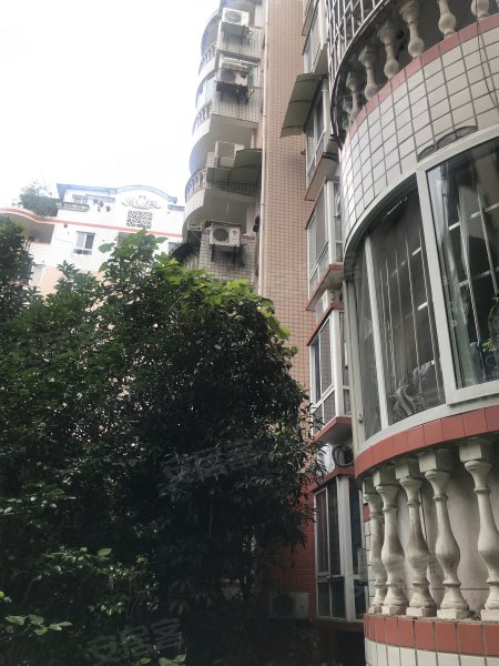 蓝鹰花园