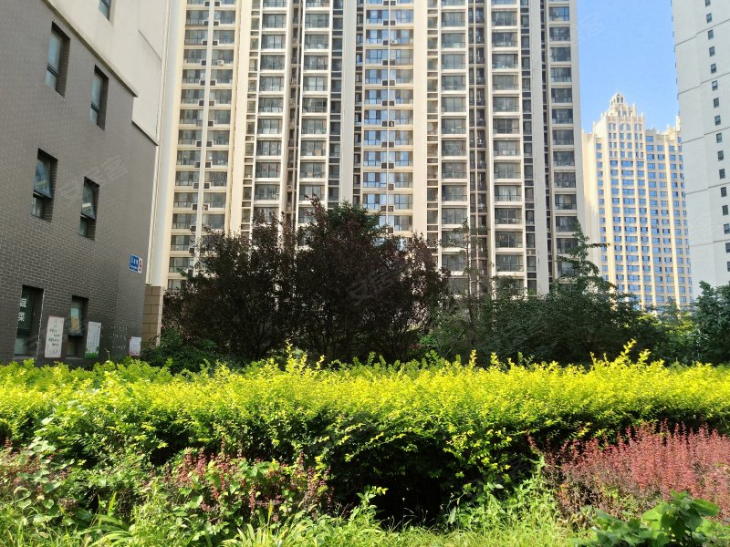 玉龙湾,河北大街中段-秦皇岛玉龙湾二手房,租房,房价