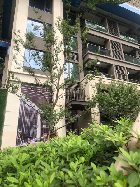 新希望东原锦官印悦