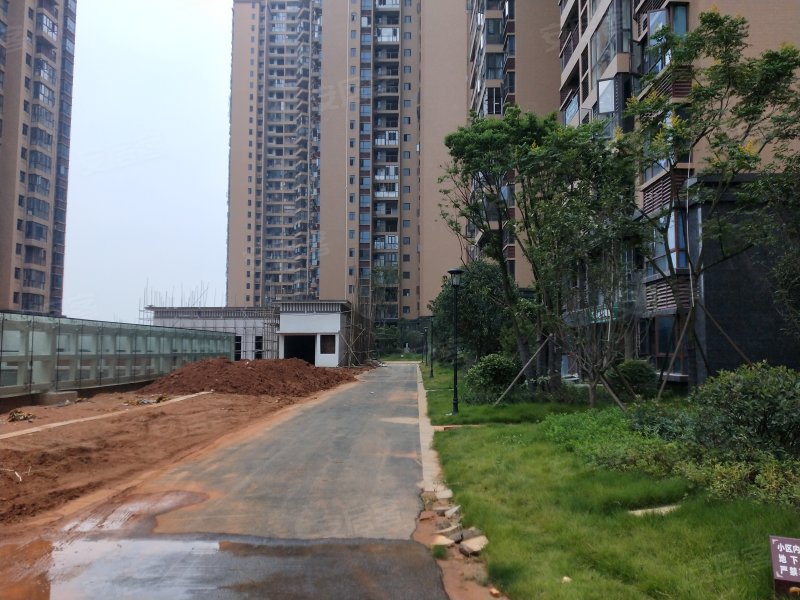 恒建紫金湾,洣江大道-衡阳恒建紫金湾二手房,租房