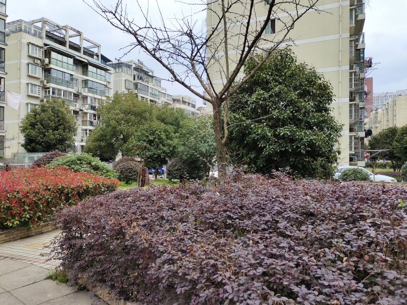 富贵园(弋江),中山南路,近利民路-芜湖富贵园(弋江)房
