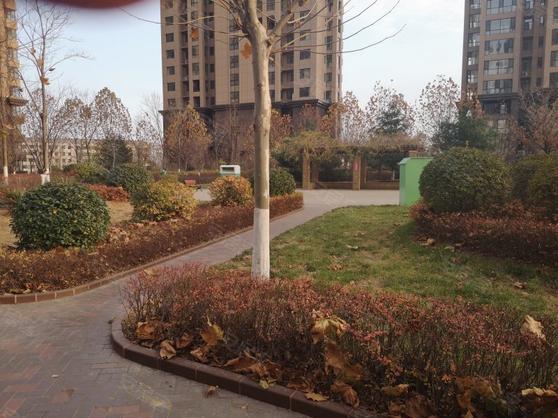 金屋秦皇半岛(一区)