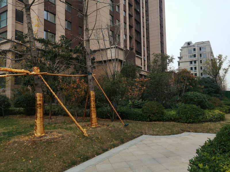 山顶御景园,郑港二街-郑州山顶御景园二手房,租房,房价-郑州安居客