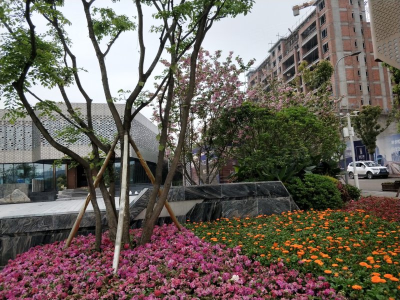 蓝光悦江府(一期),欣悦路260号-重庆蓝光悦江府(一期)