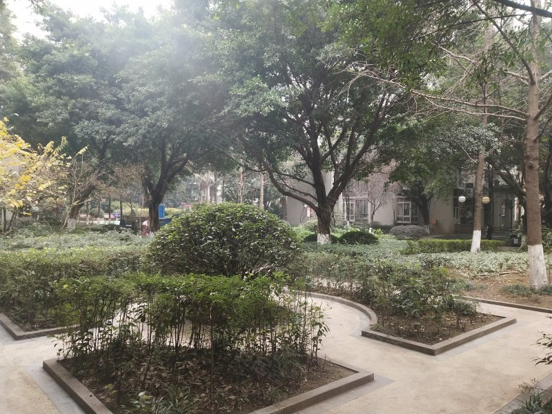 保利香槟花园(c区),树兰路127号-重庆保利香槟花园(c)