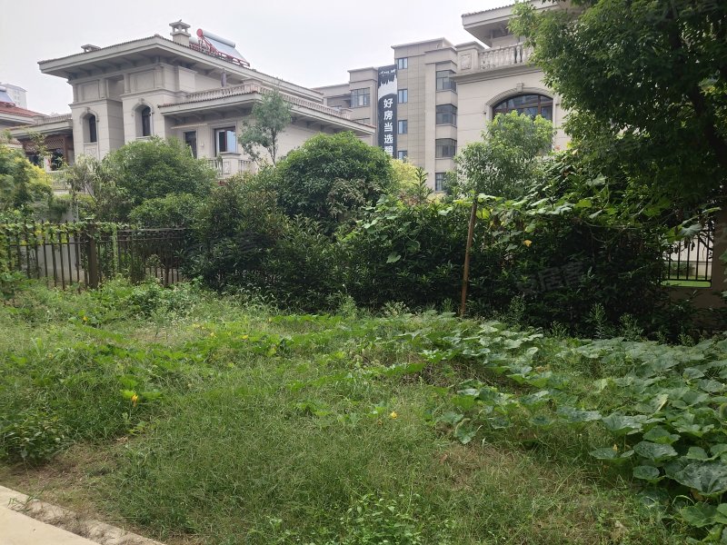 碧桂园芳邻((别墅),航空路307号-襄阳碧桂园芳邻(()房