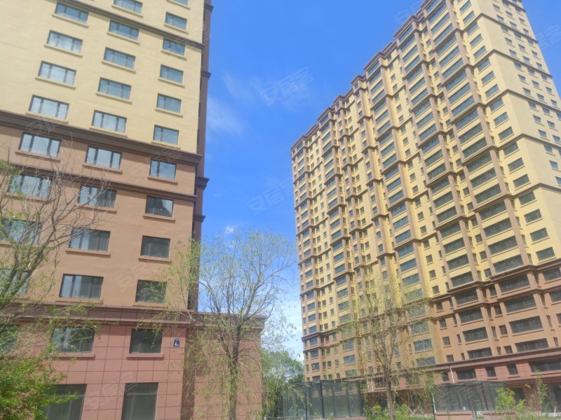 河畔花园,木材东街-哈尔滨河畔花园二手房,租房,房价