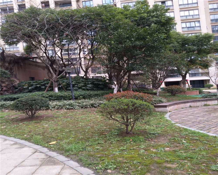 金茂四季花园,通港路111号-苏州金茂四季花园二手房