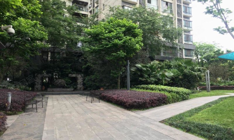 协信阿卡迪亚君临天下