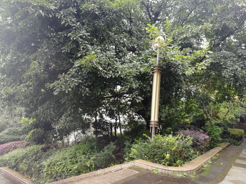 仁和半岛,仁和路中段-自贡仁和半岛二手房,租房,房价