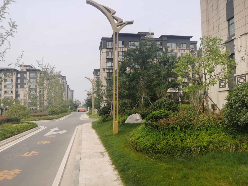 天华长城公馆,长城路-菏泽天华长城公馆二手房,租房