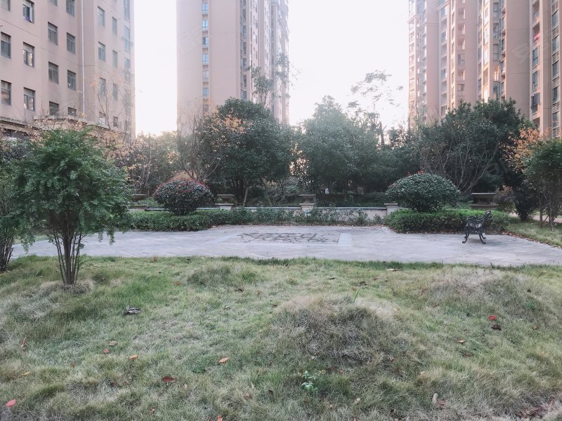 和美星城