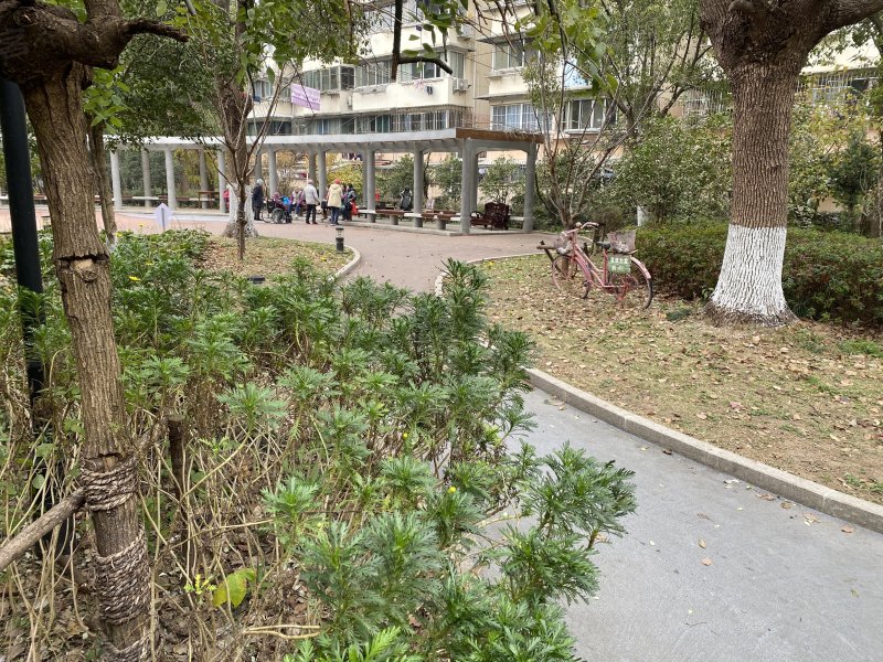 香樟苑(南苑),海阳路1080弄-上海香樟苑(南苑)二手房,租房,房价-上海