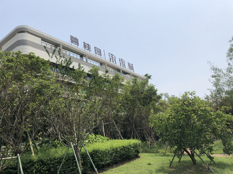 碧桂园未来城,滨海十六路,近金海大道-温州碧桂园未来城二手房,租房