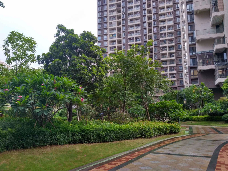 上合花园,宝安区32区公园路302号-深圳上合花园二手房,租房,房价-深圳