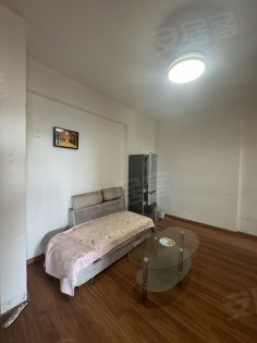 太阳海岸花园__陪读房__采光很好