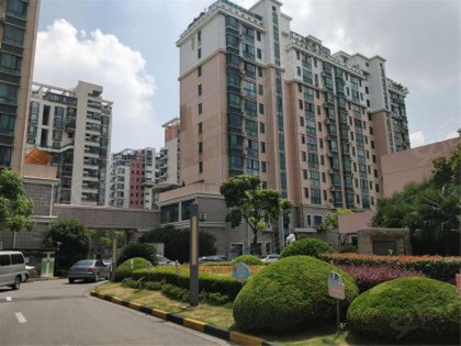 龙柏四季花园