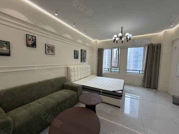 铂金汉宫_秋浦河地铁口_安静不吵温馨一居室__可月付_无压力