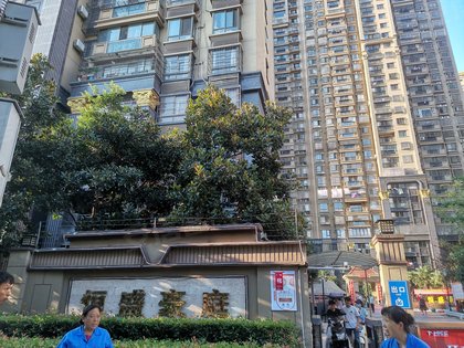 不足,恒盛豪庭怎么样,恒盛豪庭周边房产中介经纪人评价-合肥安居客