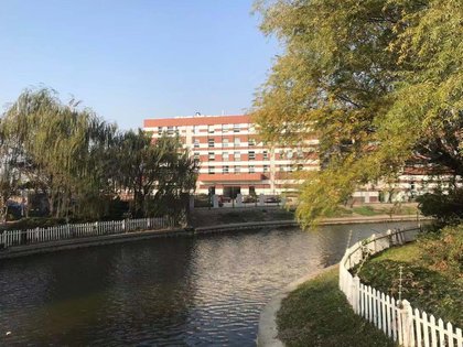 江桥人口素质_决战江桥(3)