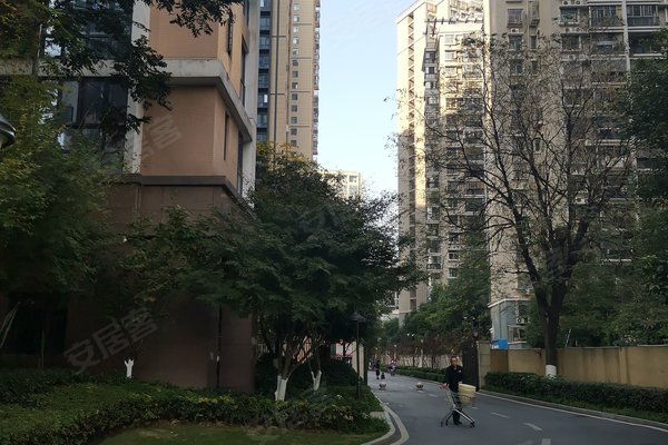 崇仁县城区有多少人口(3)