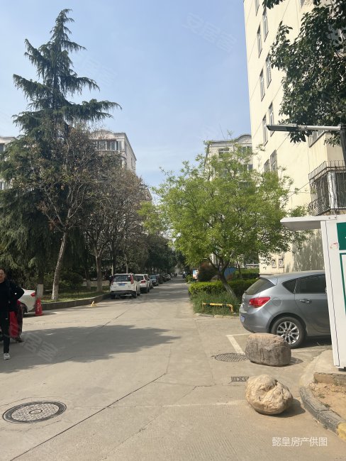 新出丨洛浦公园畔丨精装三房丨南昌路丨单价78xx起丨,滨河新村二手房