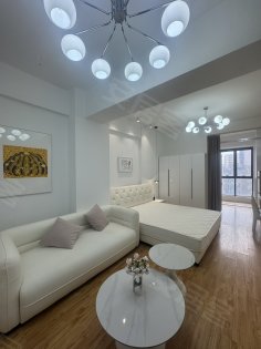 地铁口__交通出行方便__临近新粮仓天鹅湖