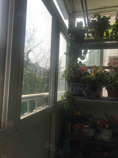 安居苑东村_3室2厅1卫__精装修79平米