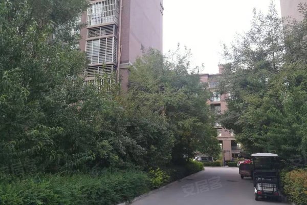 新郑外来人口_新郑机场图片(2)