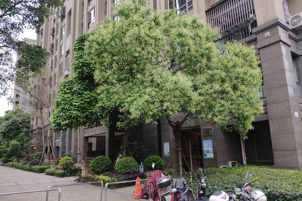 福州仓山区小学排名_福州仓山区(3)