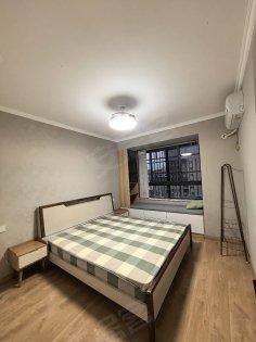 公交地铁站次附近新小区，自住精装修两室，定制品牌家电家具