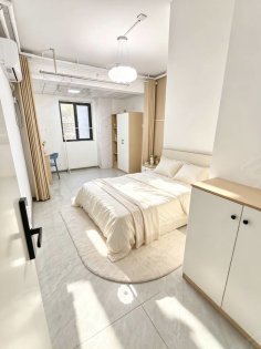 幸福雅苑_外独卫_便宜出_押一付一_万象汇_新东方大厦葛大店