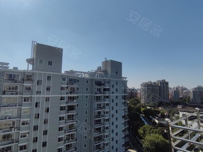 绿色丽园667弄