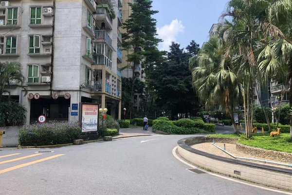 大亚湾小区有足球场吗,大亚湾小区有足球场吗多少钱