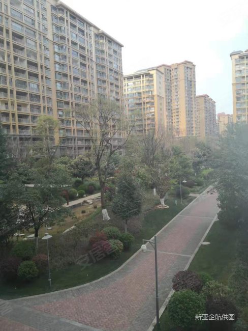 毛坯市政府南北好楼层184平5房 预约看房 150万,俊发时代俊园紫韵馨苑