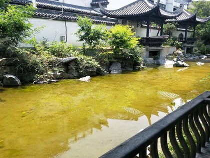 棠溪人家 滨湖新区-棠溪人家-林芝路88号