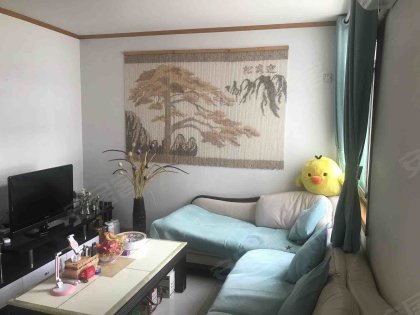蜀山区三户室88.86平米正南5层