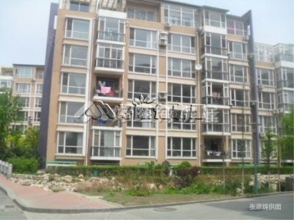 大连新星绿城二手房图片