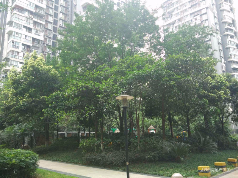 锦江城市花园一期