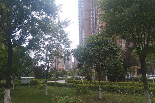 天鹅县长安家园有多少人口_天鹅卡通图片