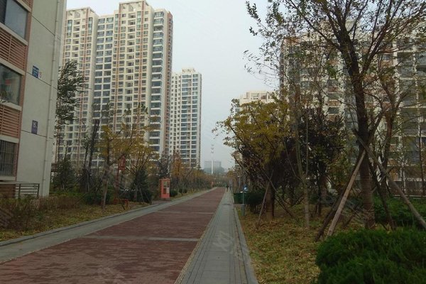银杏苑游玩攻略,银杏苑游玩攻略大全